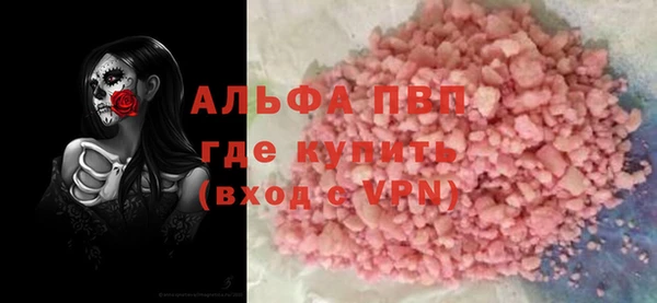 прущие грибы Горняк