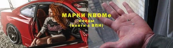 прущие грибы Горняк