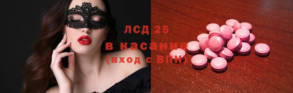 прущие грибы Горняк