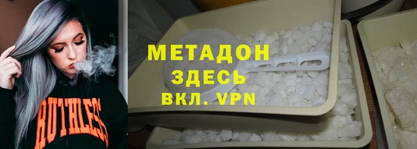 прущие грибы Горняк
