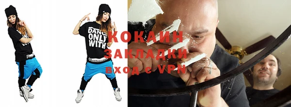 прущие грибы Горняк