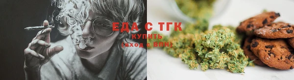 прущие грибы Горняк