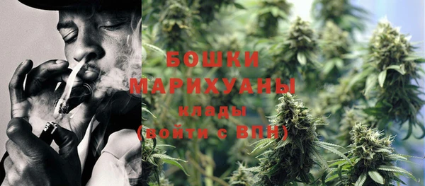 прущие грибы Горняк