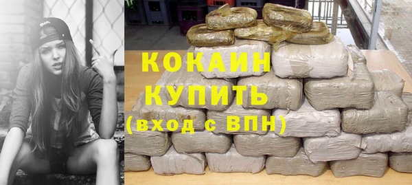 прущие грибы Горняк