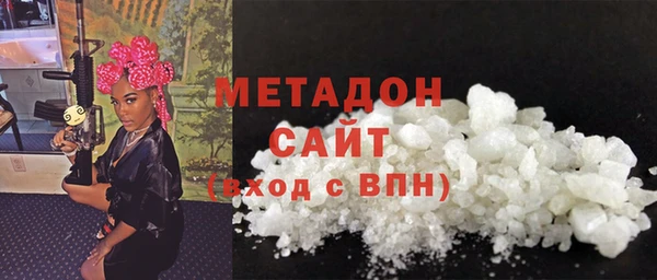 прущие грибы Горняк