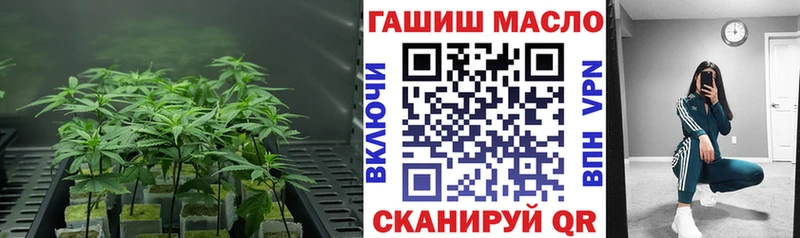 дарнет шоп  Губкин  Дистиллят ТГК THC oil 