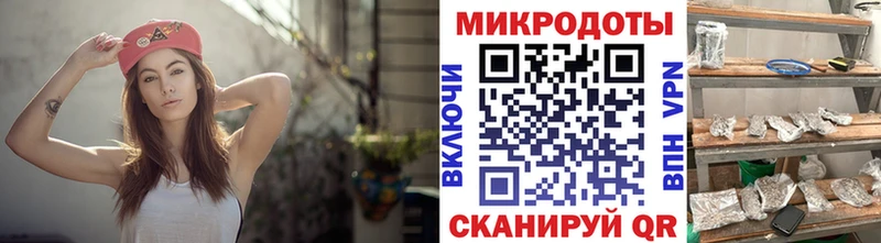 Псилоцибиновые грибы Cubensis  Губкин 