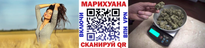 Марихуана конопля где купить наркоту kraken маркетплейс Губкин